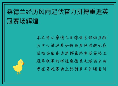 桑德兰经历风雨起伏奋力拼搏重返英冠赛场辉煌