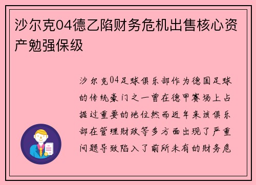 沙尔克04德乙陷财务危机出售核心资产勉强保级